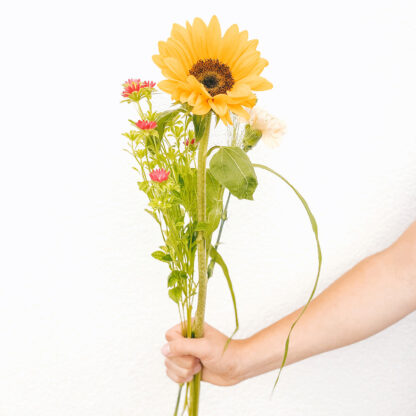 Ausgarnierte Sonnenblume 2023